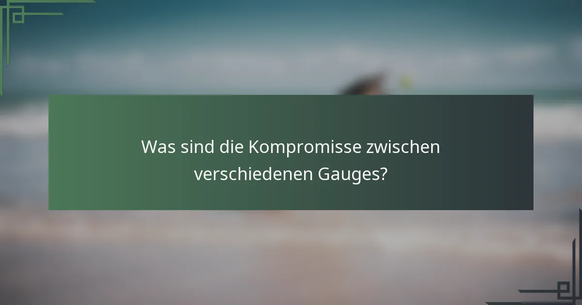 Was sind die Kompromisse zwischen verschiedenen Gauges?