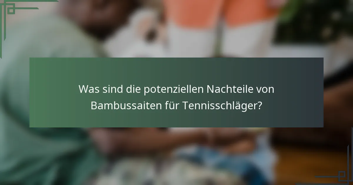 Was sind die potenziellen Nachteile von Bambussaiten für Tennisschläger?