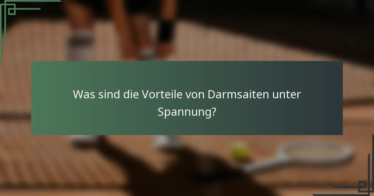 Was sind die Vorteile von Darmsaiten unter Spannung?
