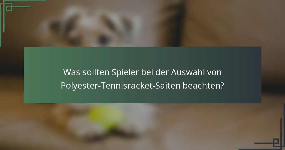 Was sollten Spieler bei der Auswahl von Polyester-Tennisracket-Saiten beachten?