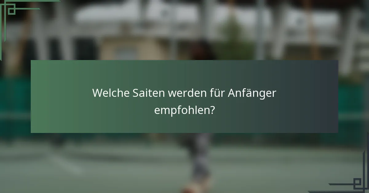 Welche Saiten werden für Anfänger empfohlen?
