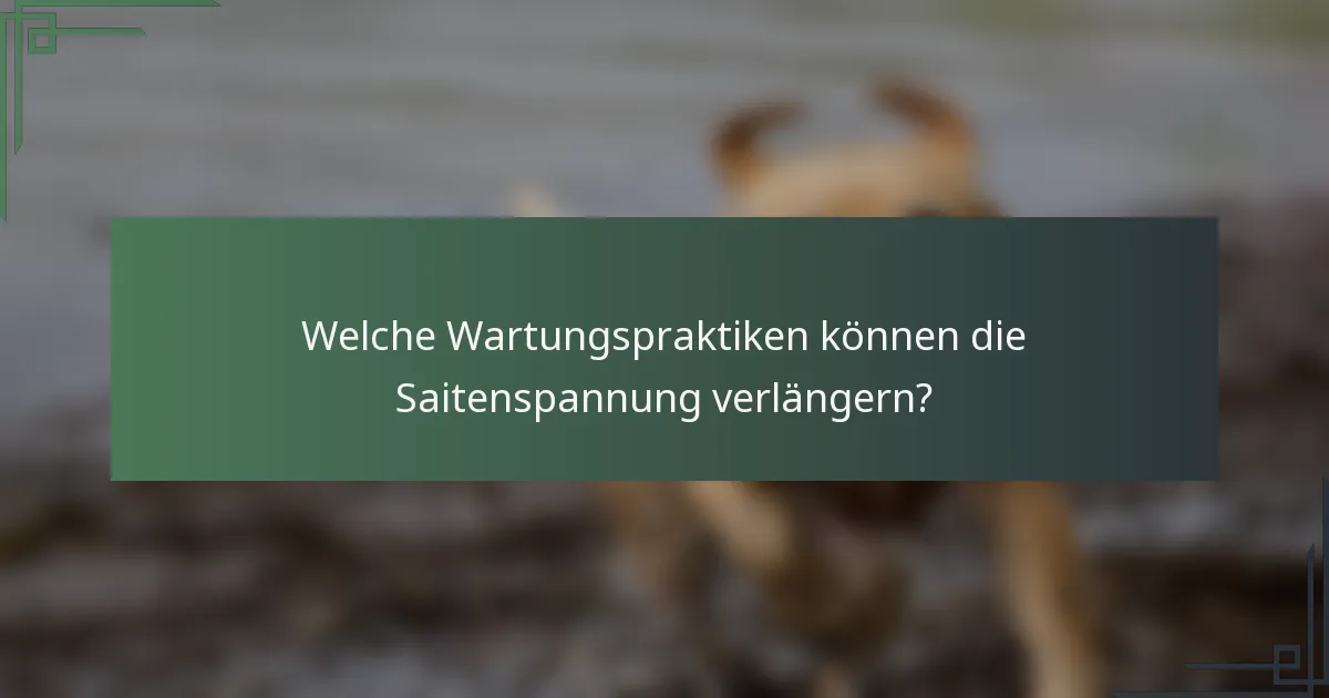 Welche Wartungspraktiken können die Saitenspannung verlängern?