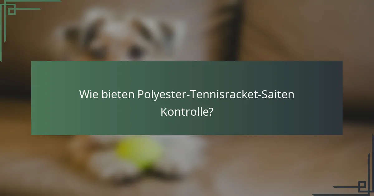 Wie bieten Polyester-Tennisracket-Saiten Kontrolle?