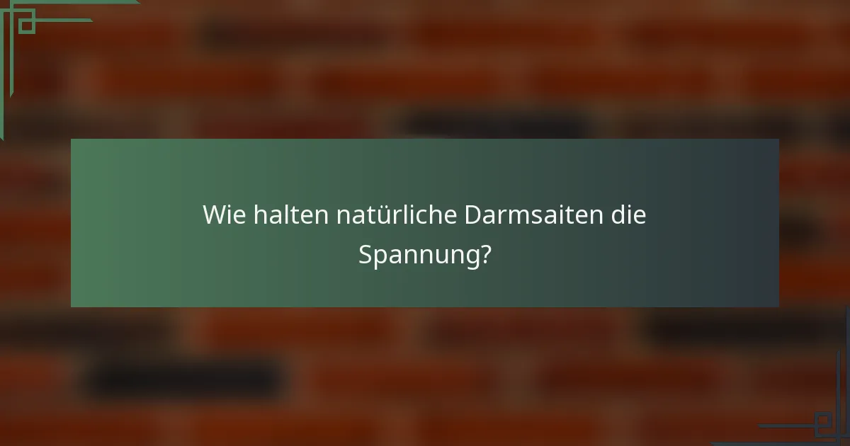 Wie halten natürliche Darmsaiten die Spannung?