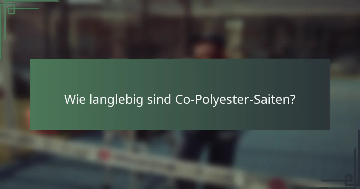 Wie langlebig sind Co-Polyester-Saiten?